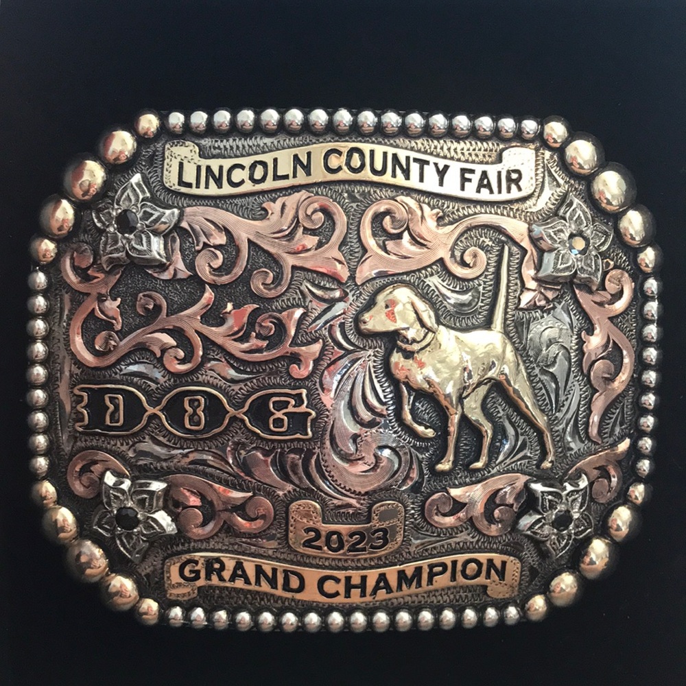 Grand champion belt buckle. Brand new in box, never worn.Molly’s custom silver